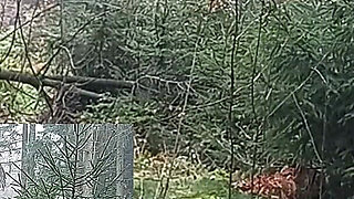 A Real Kick in the Balls