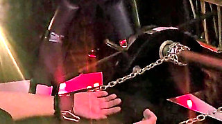 Stina Stone Femdom Handjob Tease Denial Facesitting by Mistress in Leather Gloves Part 2