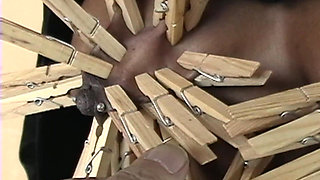 Revay Clothespins Rvb0cd