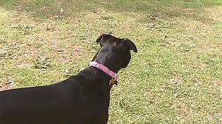 She Likes Pussies Scene-3_lesbian Teen Friends Enjoy Their Toys Together