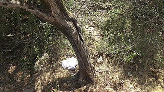 Help on the Summer Trail