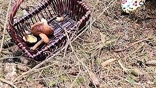 Risky Sex in the Forest - Blowjob, Hot Sex, and Explosive Climax