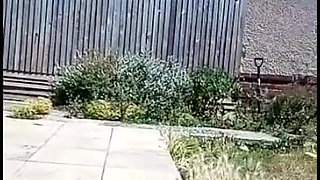 Pee and Walk Compilation (7 Clips)