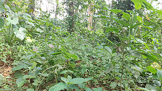I Was Enjoying The Jungle With All My Might Boyfriend Who Watched It From Behind Took A Video With My Full Consent