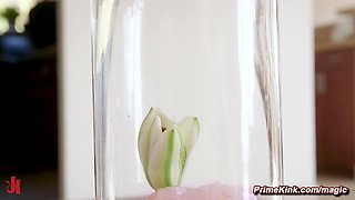 Stepsiblings punish and pound blond hair babe