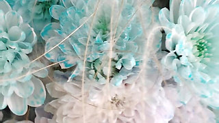 Bouquet of Flowers
