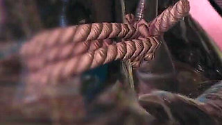 B025 Asian Beauty Tentacbondage Slave Face Sitting, Farting, Anal Licking