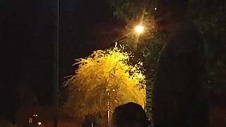 Thick BBW Wife Public Fun!