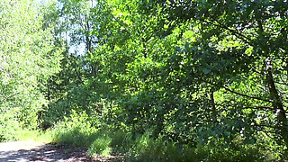 Lovely big ass brunette banged outdoor with her fucker