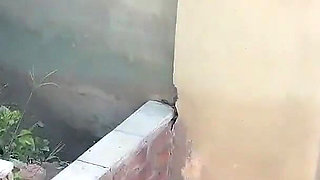 Triple Cum on Face for Village Whore - Public Cumwalk