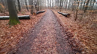 Naked Woman in the Woods - Pussy and Tits Pounded