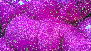 Amazing BBW Webcam Big Boobs Porn Video Livesex Livecam