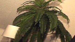 She Is a French BBW Who Likes to Get Fucked