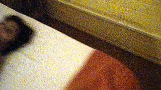 Moglie matura con due bull in albergo
