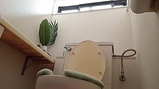 Various Toilet Scenes, Including Public Toilets