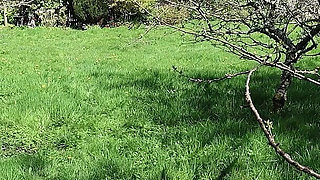 Garden Pegging