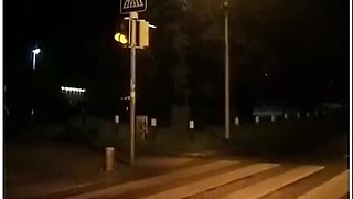 German Milf Picked Up For Outdoor Anal