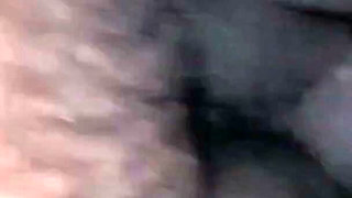 Girlfriend's Pussy in the Cock