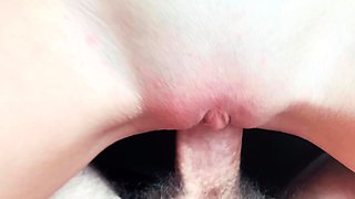 Amateur girlfriend loves butt fingering in pov video