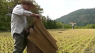 Hot Wife Fucks Husband in Public Field - Big Ass & Tight Pussy