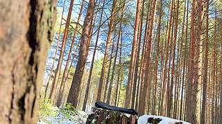 Freeze Time Woods Creepy Neighbor Freezes Cute Jogger