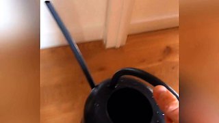 Amateur Jasmin stripping panties and masturbating