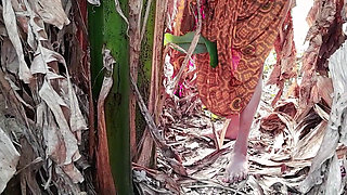 Called Sister-in-law to Banana Garden and Fucked Her