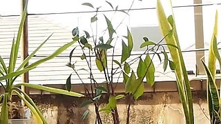 Peeing on a Potted Plant