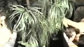 Shorty fucks blonde teen whore hardcore