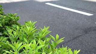 Surrogate Mother Shiho Terashima