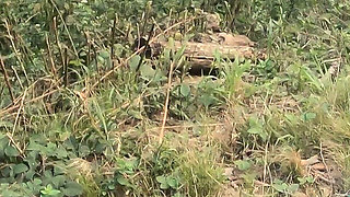 Anal Pleasure for Both Wife and Husband Gets Pegged with Her Strapon Outdoor Creampie Adventure