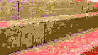 Hot and wet lesbo set