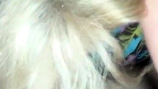 Single American Mom Loves Sucking Cock