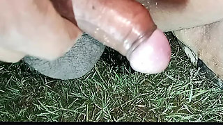 Handling mara video
