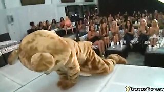Dancing Bear featuring queen bee's ass fucking clip