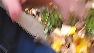 Three Pees, Two Toilets