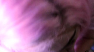 Teen blowjob and hardcore fun