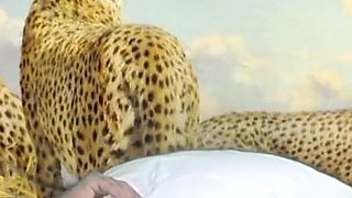 Disco Cheetah Girl Starring Lexi Luxurys Revised