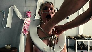 Assylum Rebel Rhyder The Most Beautiful Toilet Pet In The