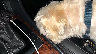 a little blooper reel