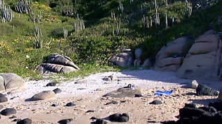 Stacey Saran and Her Lesbian Car Wash Girlfriends Licking Ass and Fingering Pussy