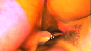 N2 The Gene Pool Black and Ebony