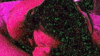 Amateur girlfriend handjob and blowjob with facial