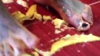 A banana is trampled by a blonde tattooed MILF
