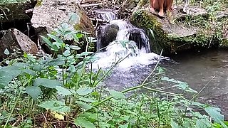 Reality european amateur sucks cock for cash outdoors