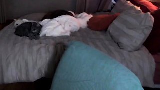 Amateur webcam toying wet pussy