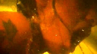 Amateur Girlfriend In Stockings Bounces Her Butt On A Cock