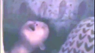 Homemade Korean MILF Sex Tape