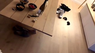 Ca m’excite de la voir sucer un mec devant moi
