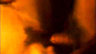 Classic Porn Dvds: Marilyn Chambers Insatiable: P